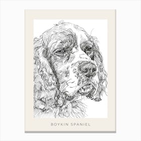Boykin Spaniel Dog Line Art 3 Poster Canvas Print
