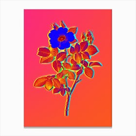 Neon Twin Flowered White Rose Botanical in Hot Pink and Electric Blue n.0150 Canvas Print