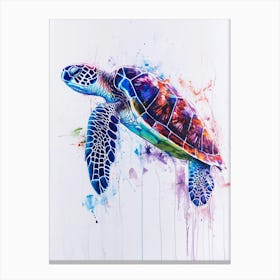 Colourful Mixed Media Sea Turtle 3 Canvas Print