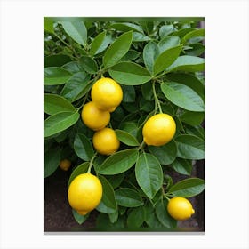 Lemon Tree Canvas Print