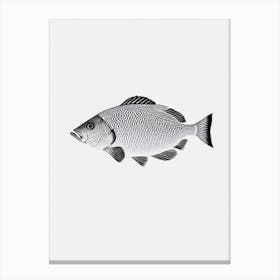 Coral Reef Fish Black & White Drawing Canvas Print