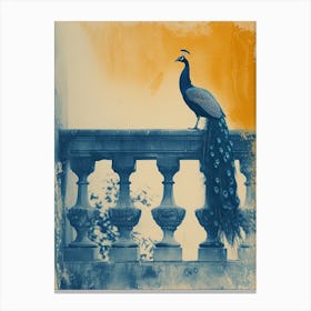 Orange & Blue Peacock On A Stone Balcony 1 Canvas Print