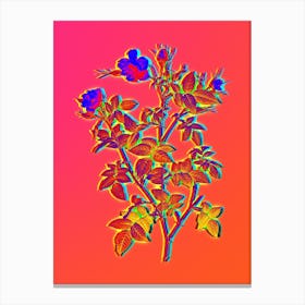 Neon Pink Flowering Rosebush Botanical in Hot Pink and Electric Blue n.0227 Canvas Print