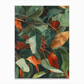 Eucalyptus Leaves 13 Canvas Print