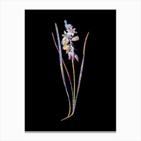 Stained Glass Drooping Star of Bethlehem Mosaic Botanical Illustration on Black n.0175 Canvas Print