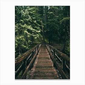 Forest Bridge Canvas Print