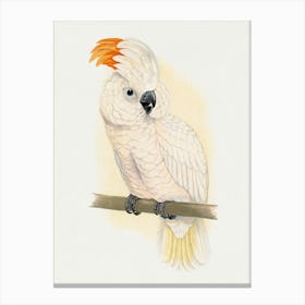 Cockatoo Canvas Print