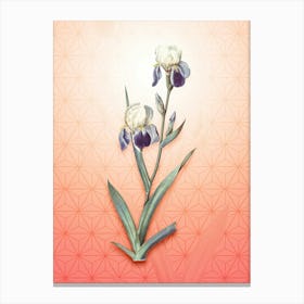 Elder Scented Iris Vintage Botanical in Peach Fuzz Asanoha Star Pattern n.0308 Canvas Print