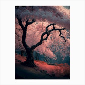 Cherry Blossom Tree 1 Canvas Print