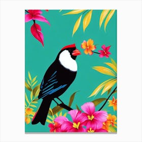 Cardinal 1 Tropical bird Canvas Print