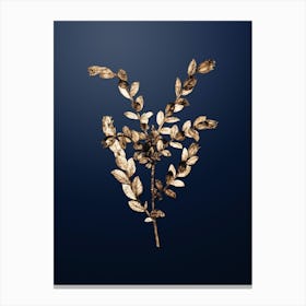 Gold Botanical Creeping Willow on Midnight Navy n.2183 Canvas Print