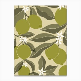 Limes Canvas Print