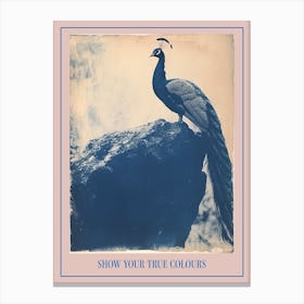 Navy Blue Peacock Portrait Cyanotype Inspired 3 Poster Canvas Print