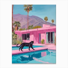 Black Cat In Palm Springs Canvas Print