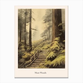 Muir Woods Canvas Print