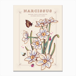 December Birth Flower Narcissus On Cream Canvas Print