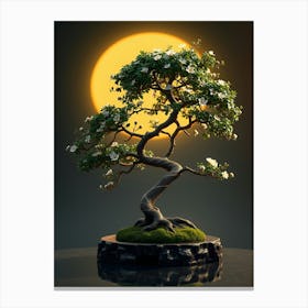 Bonsai Tree 6 Canvas Print