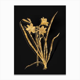 Vintage Daylily Botanical in Gold on Black Canvas Print