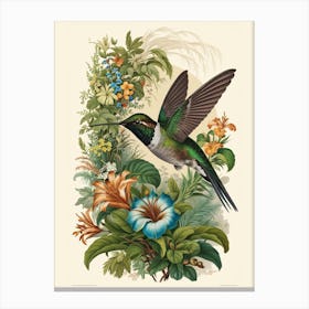 Hummingbird botanical flower beauty Canvas Print