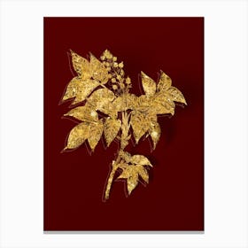 Vintage European Bladdernut Botanical in Gold on Red n.0131 Canvas Print