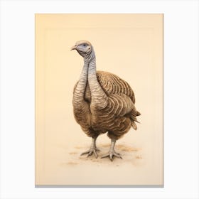 Vintage Bird Drawing Turkey 1 Canvas Print