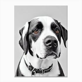 Entlebucher Mountain Dog B&W Pencil dog Canvas Print