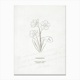 Primrose Birth Flower | Antique Canvas Print