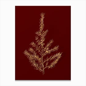 Vintage Sea Asparagus Botanical in Gold on Red n.0334 Canvas Print