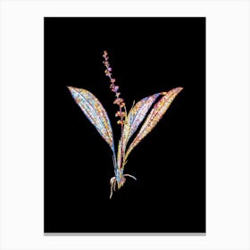 Stained Glass Peliosanthes Teta Mosaic Botanical Illustration on Black Canvas Print