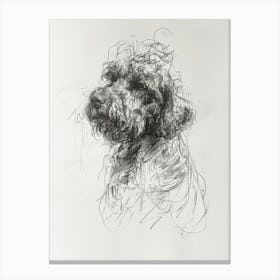 Spanish Water Dog Dog Charcoal Line 3 Canvas Print