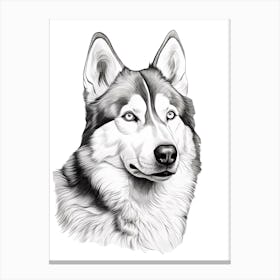 Siberian Husky Dog, Line Drawing 2 Canvas Print