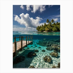 Underwater Coral Reef In The Maldives Canvas Print