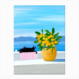 Sunbathing Cat Canvas Print