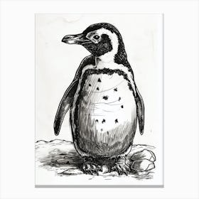 King Penguin Hatching 2 Canvas Print