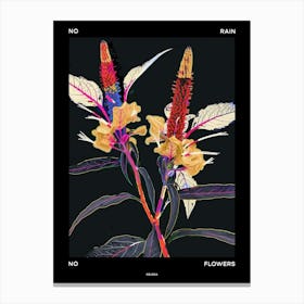 No Rain No Flowers Poster Celosia 3 Canvas Print