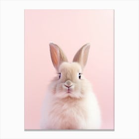 Rabbit On A Pink Background Canvas Print