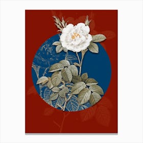Vintage Botanical White Rose on Circle Blue on Red n.0227 Canvas Print