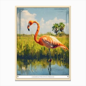 Greater Flamingo Camargue Provence France Tropical Illustration 6 Poster Canvas Print