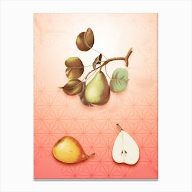 Pear Vintage Botanical in Peach Fuzz Asanoha Star Pattern n.0171 Canvas Print