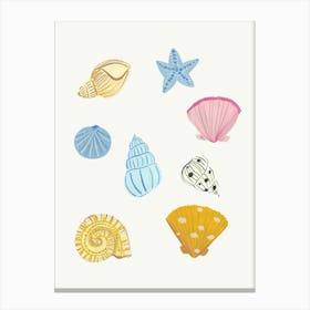 Shells Canvas Print