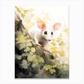 Light Watercolor Painting Of A Foraging Possum 3 Canvas Print
