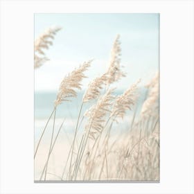 Eel Grass On The Beach Canvas Print