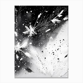 Falling, Snowflakes, Black & White 4 Canvas Print