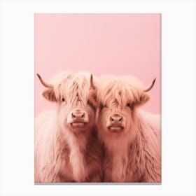 Two Highland Cows Pink Portrait 1 Canvas Print