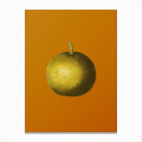 Vintage Adam's Apple Botanical on Sunset Orange n.0244 Canvas Print