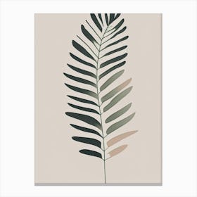 Southern Shield Fern Simplicity Canvas Print