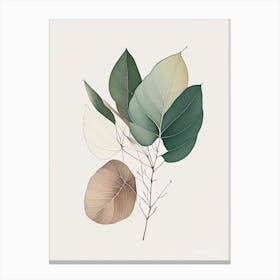 Eucalyptus Leaf Contemporary 2 Canvas Print