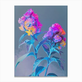 Iridescent Flower Celosia 2 Canvas Print