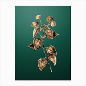 Gold Botanical Tickberry on Dark Spring Green Canvas Print