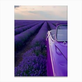 Lavender Field Canvas Print